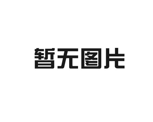 西門子91免费看黄下载SIPLACE數字視覺係統概述